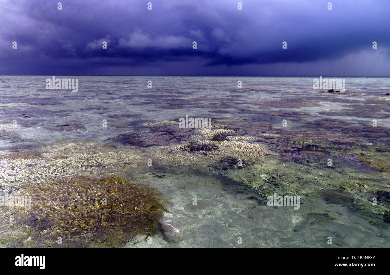 Tempesta sopra scogliera piatto a bassa marea con molti coralli sbiancanti, Isola di Heron, Grande barriera Corallina, Queensland, Australia, marzo 2020 Foto Stock