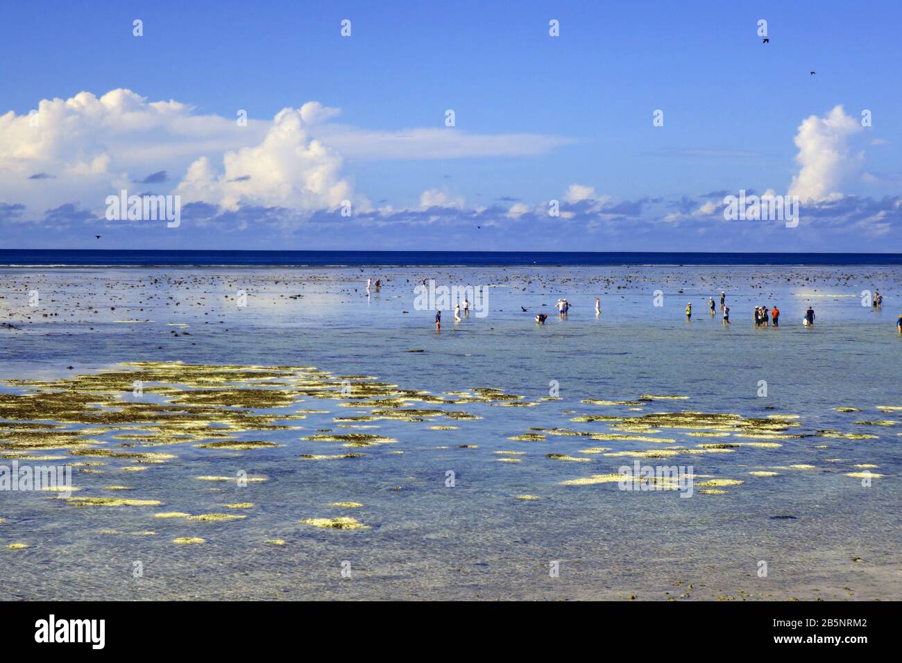 Persone che camminano sulla scogliera piatta con bassa marea con molti coralli sbiancati evidenti, Isola di Heron, Grande barriera Corallina, Queensland, Australia, Marzo 2020 Foto Stock