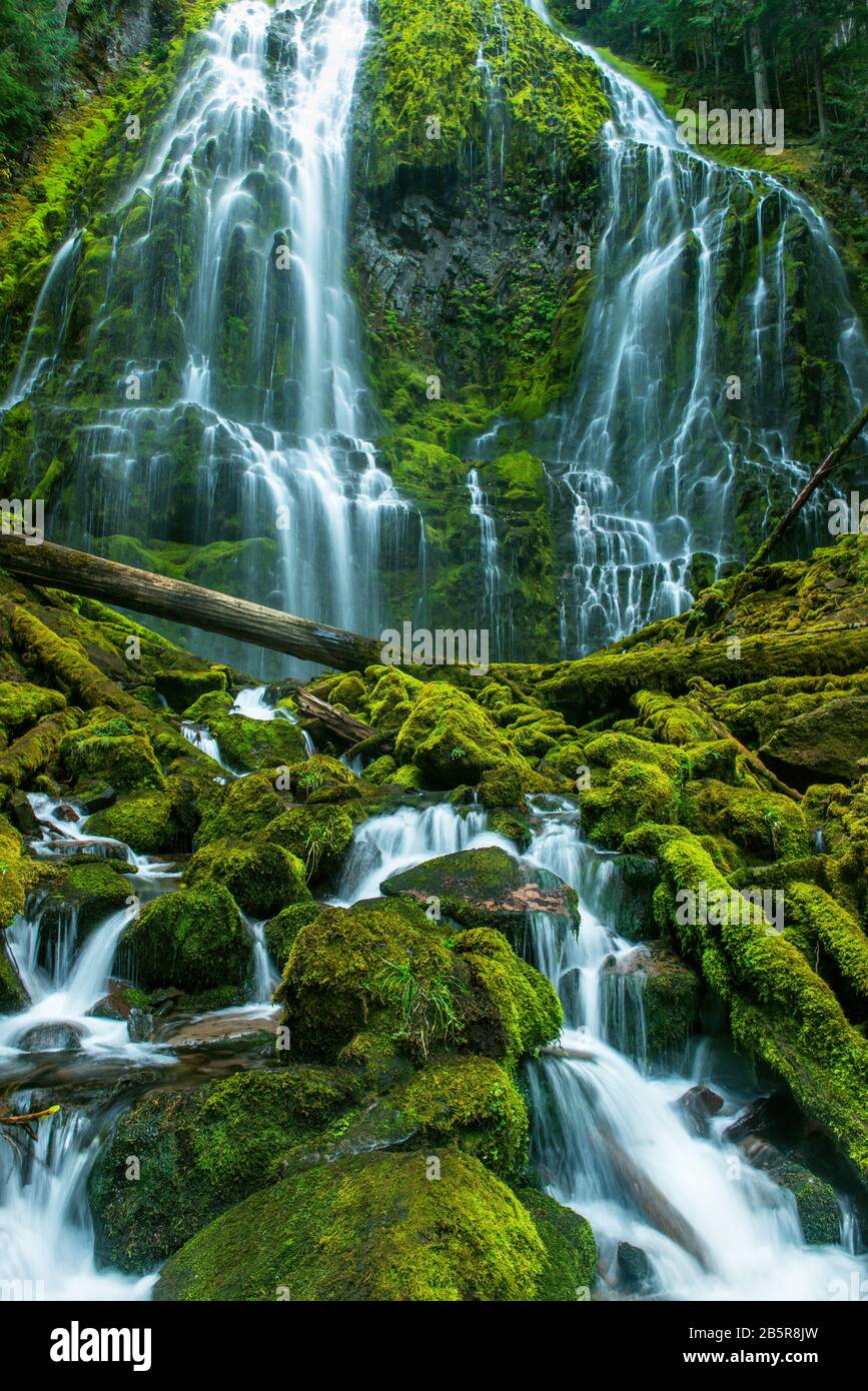 Cade Proxy, tre sorelle deserto Willamette-Deschutes National Forest, Oregon Foto Stock