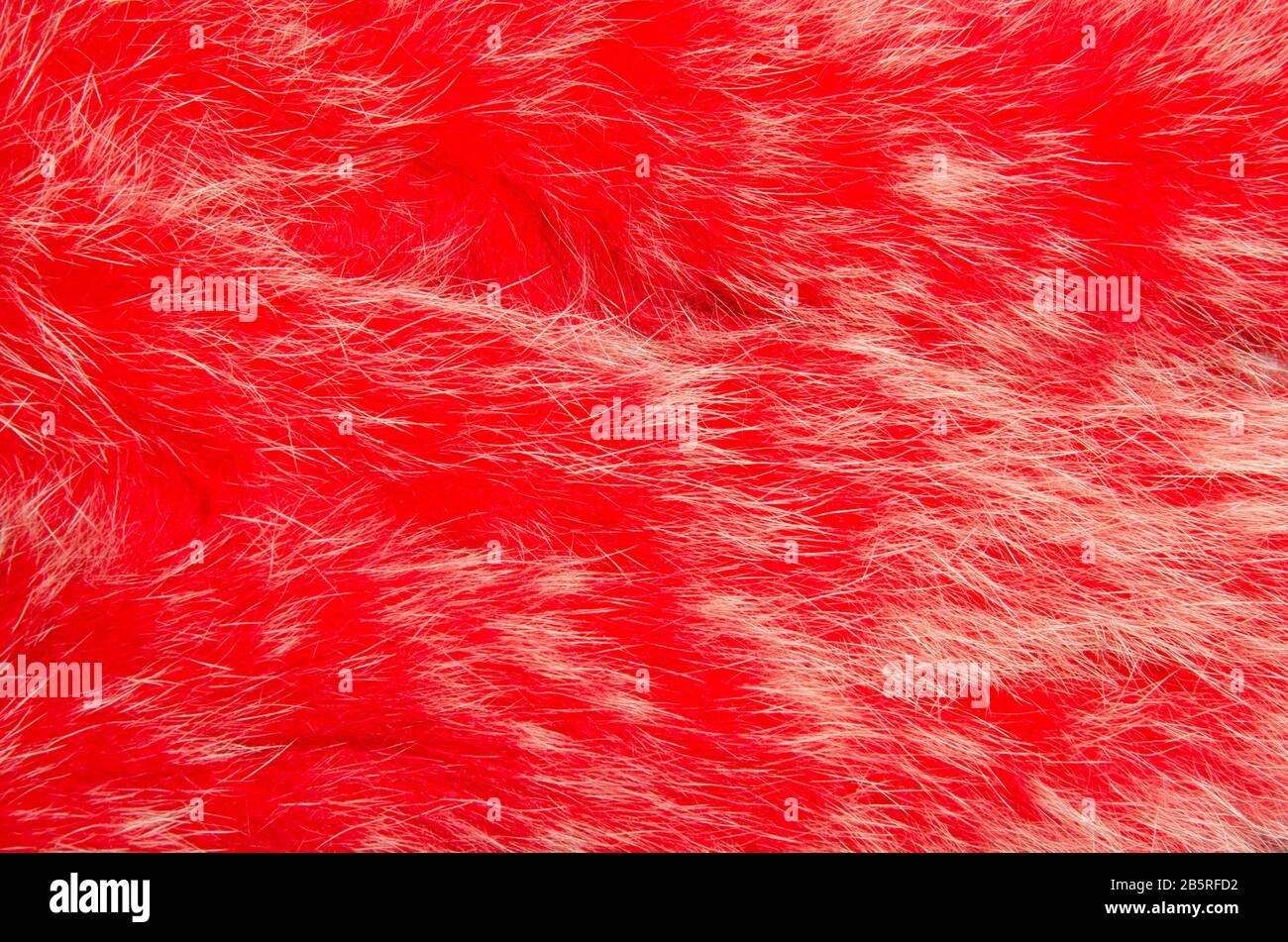 Tessuto di pelliccia tinta rossa con punte sbiancata. Immagine di sfondo. Foto Stock