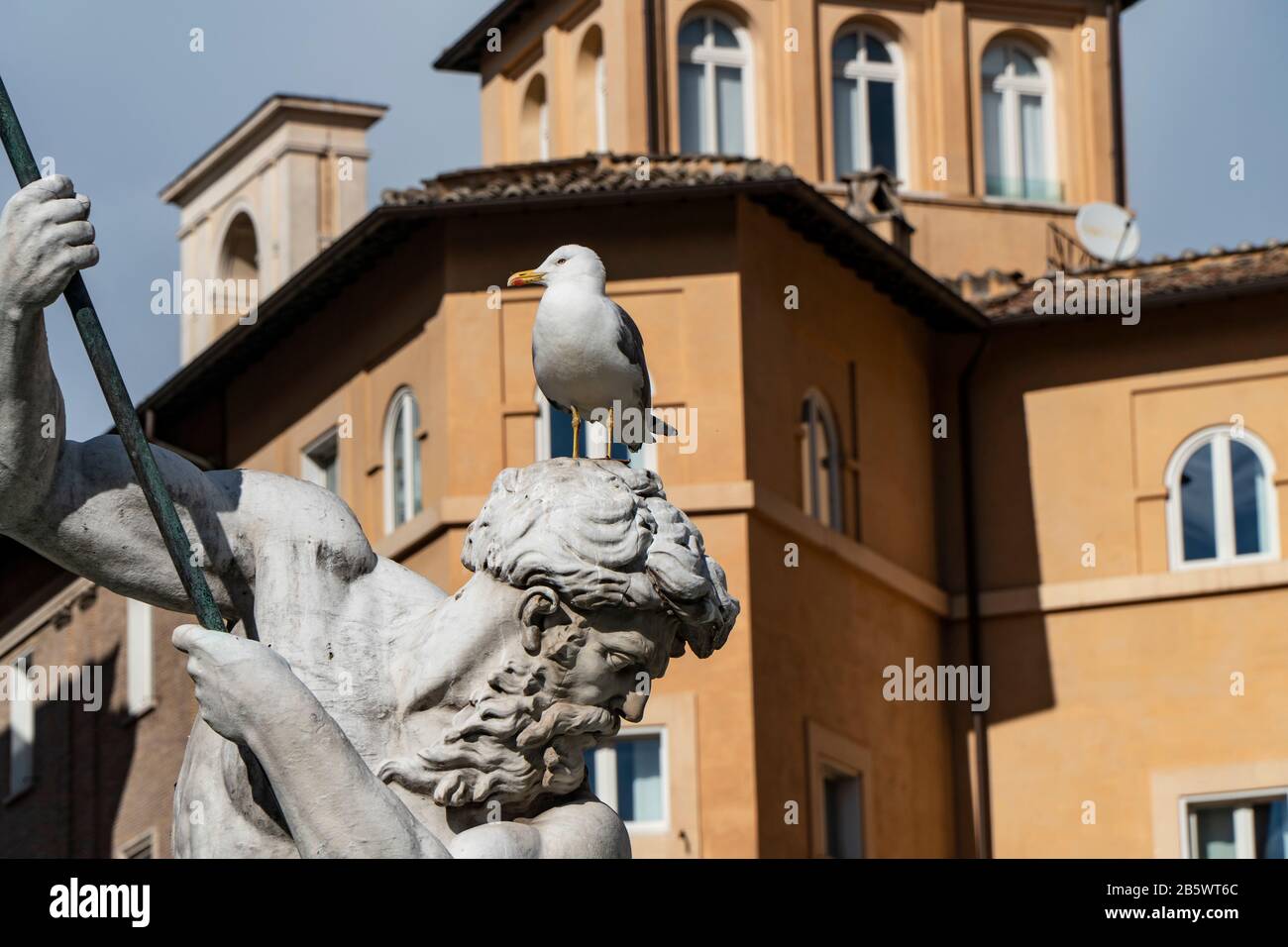 Fontana del Nettuno o Fontana di Nettuno a Piazza Navona a Roma, in Italia, dettaglio con teschio Foto Stock