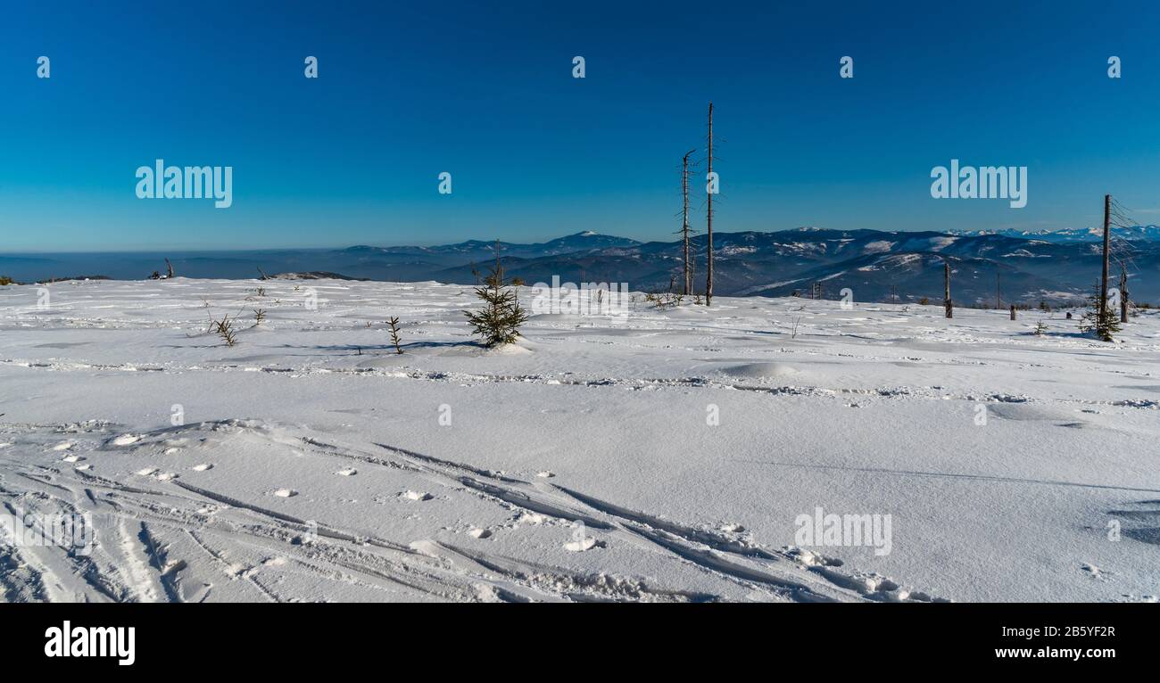 Beskid Zywiecki e parte delle montagne Tatra da Wierch Wiselka vicino alla collina di Barania Gora nelle montagne di Beskid Slaski durante la fantastica giornata invernale Foto Stock