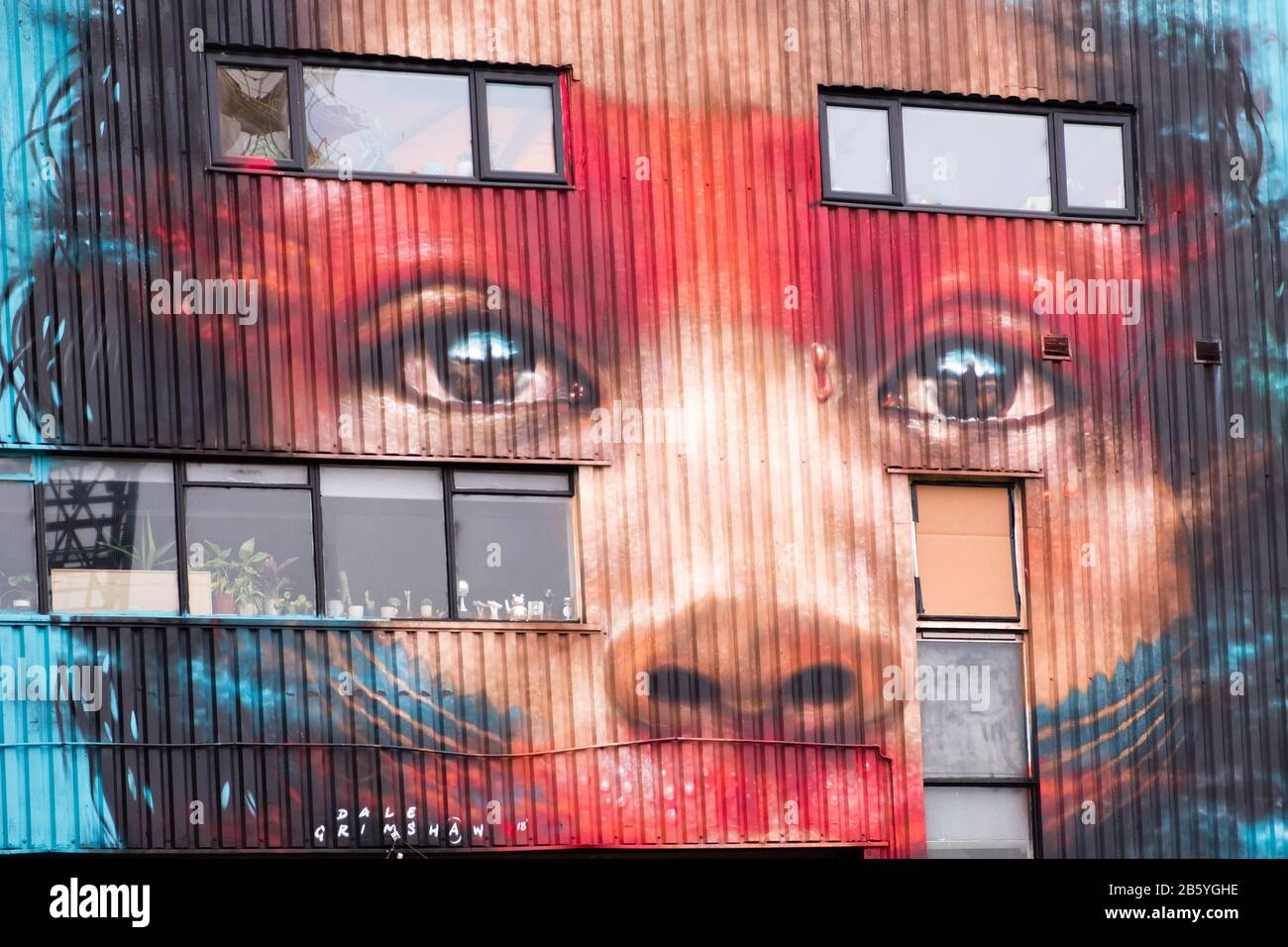 Graffiti di un bel viso ragazze con decorazione Foto Stock