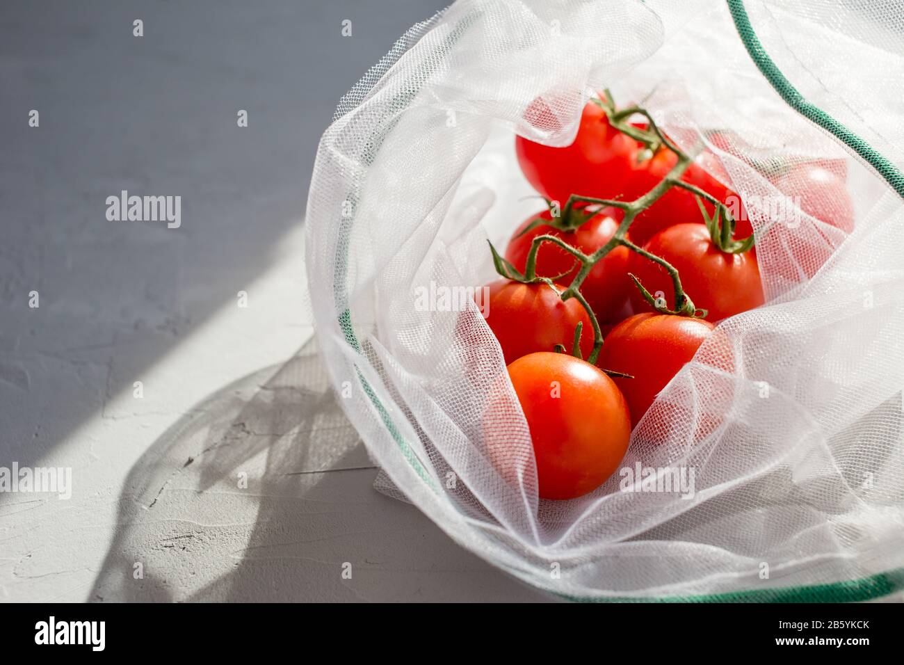 Pomodori in borsa ecologica su fondo in cemento. Zero sprechi. Concetto senza plastica. Foto Stock