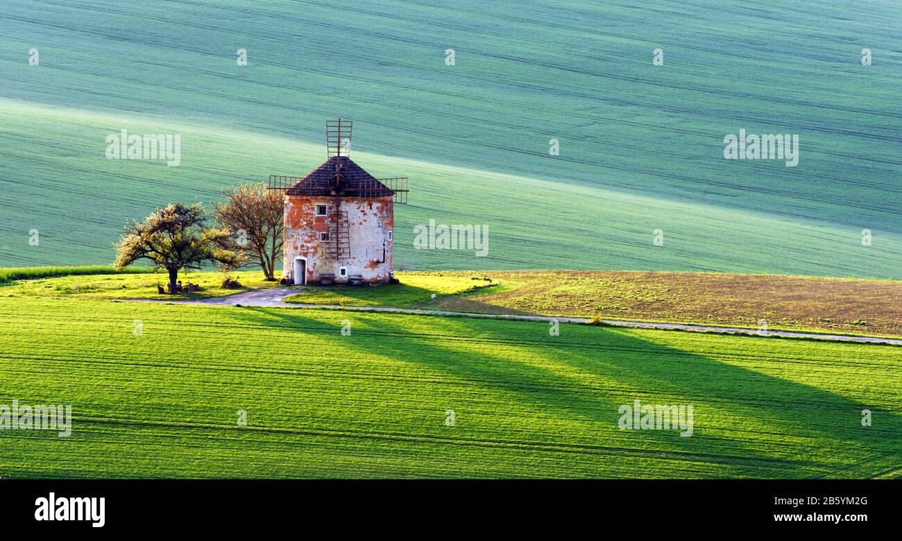 Splendido paesaggio rurale con antico mulino a vento e verdi colline di primavera. Regione Della Moravia Meridionale, Repubblica Ceca Foto Stock