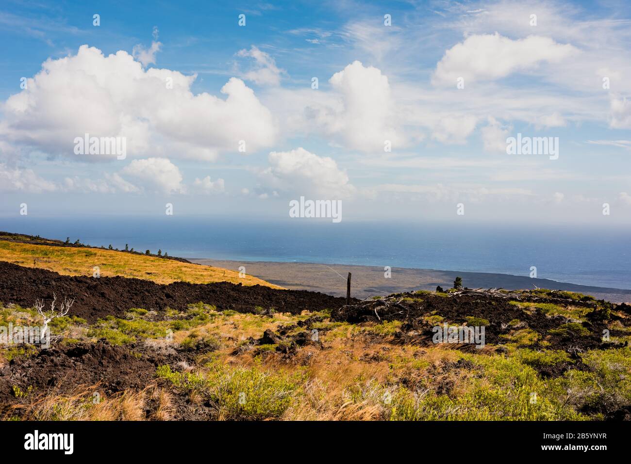 Vista dalla Chain of Craters Road sull'indurente lava e sull'Oceano Pacifico nelle Hawaii Foto Stock