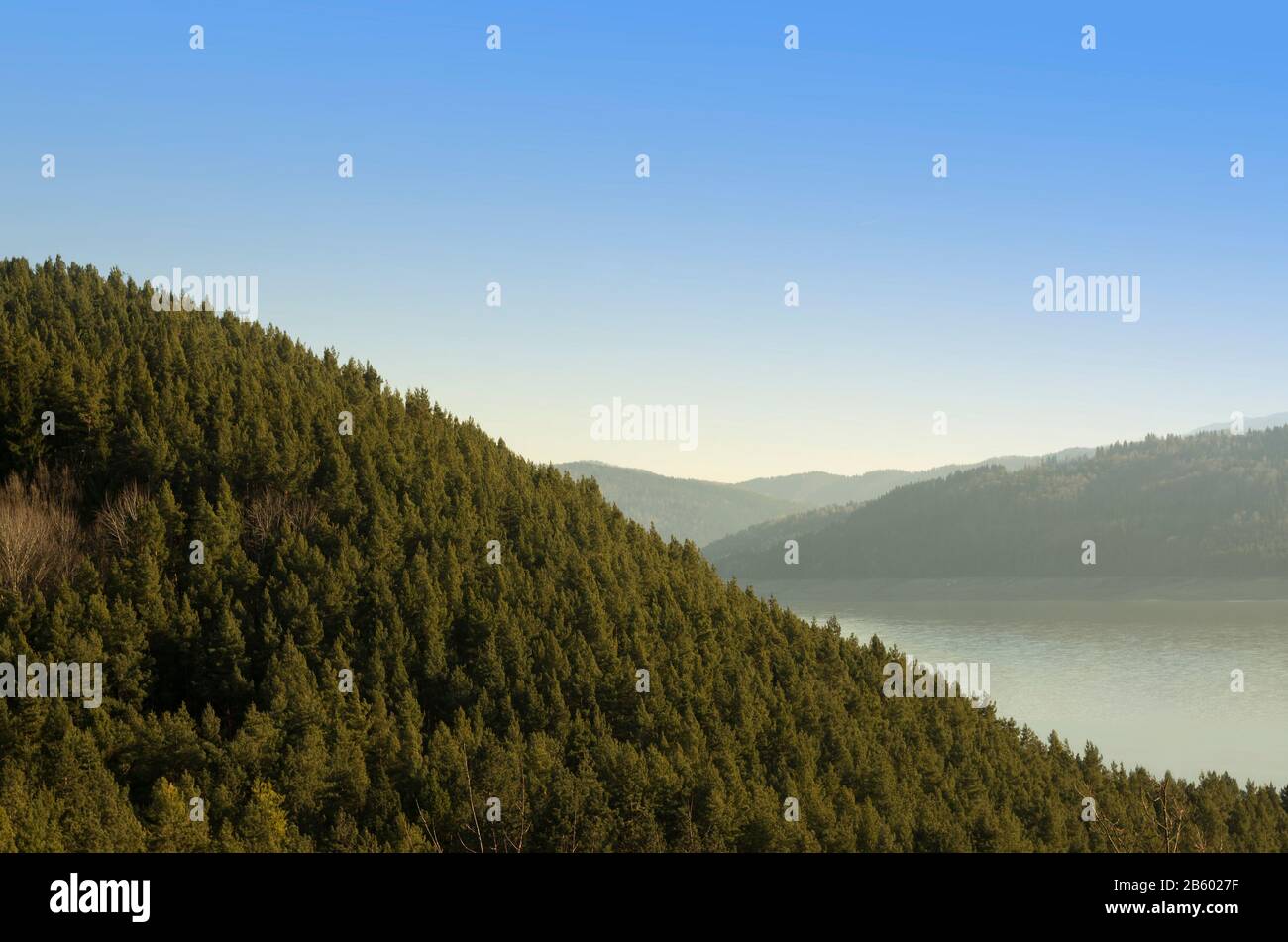 foresta di montagna con lago sullo sfondo Foto Stock