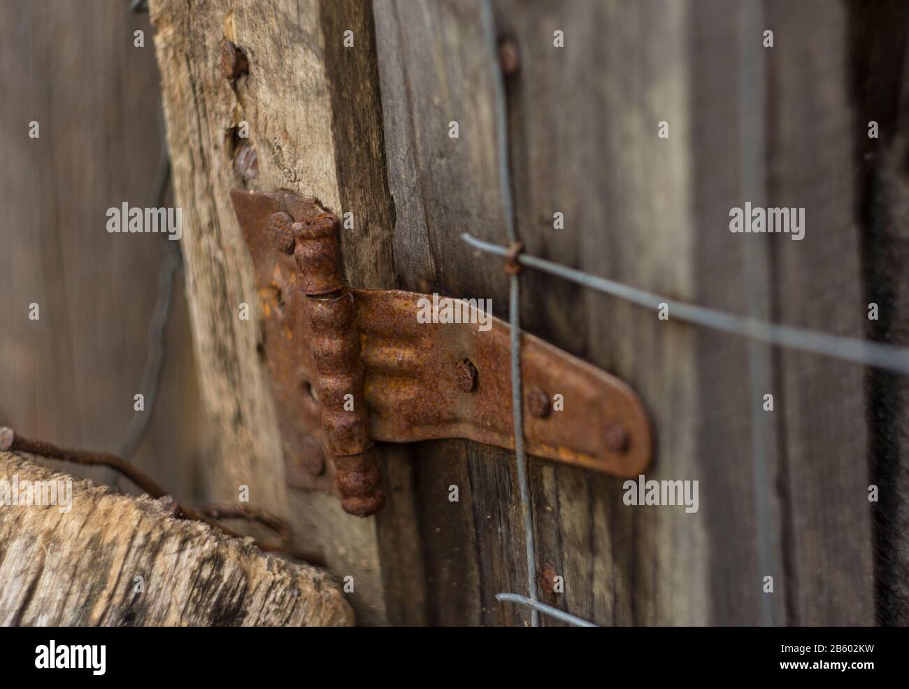vecchia cerniera rustica del recinto fatta dal ferro Foto Stock