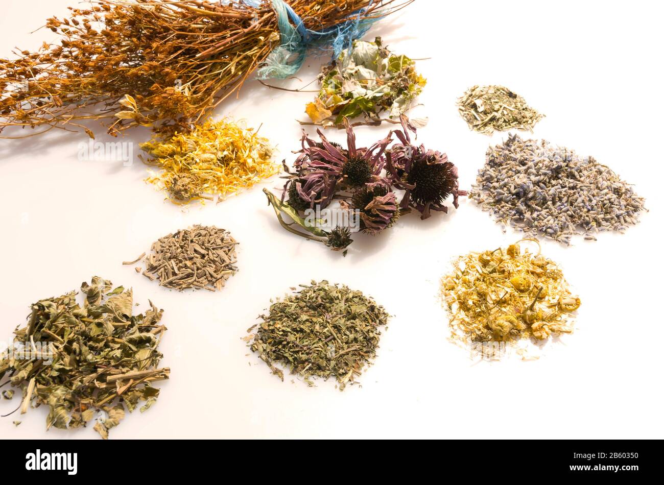erbe tradizionali per la medicina naturale Foto Stock