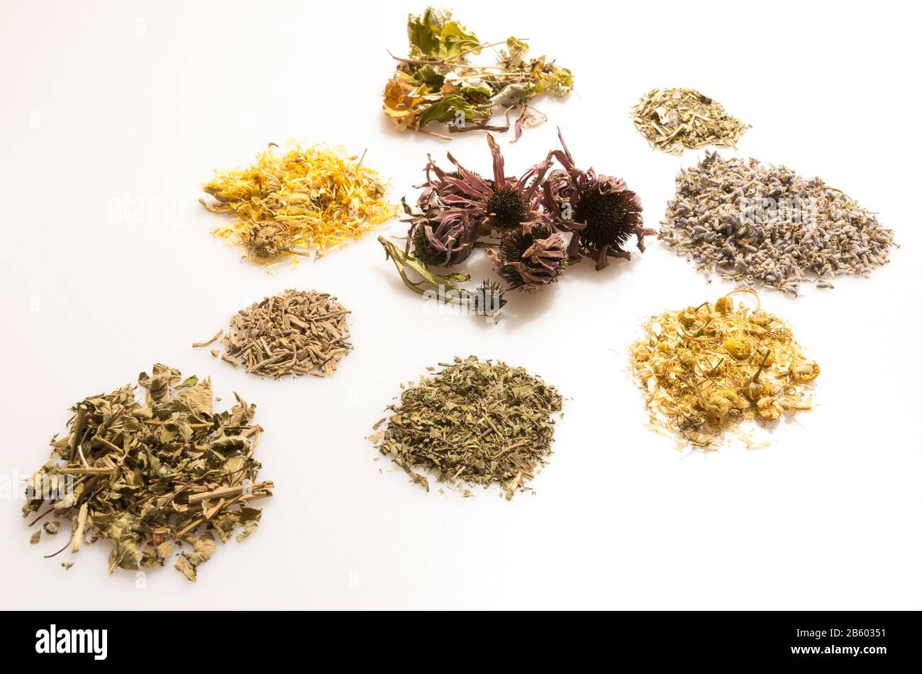 concetto di medicina con erbe naturali tradizionali per sfondo bianco medicineon Foto Stock