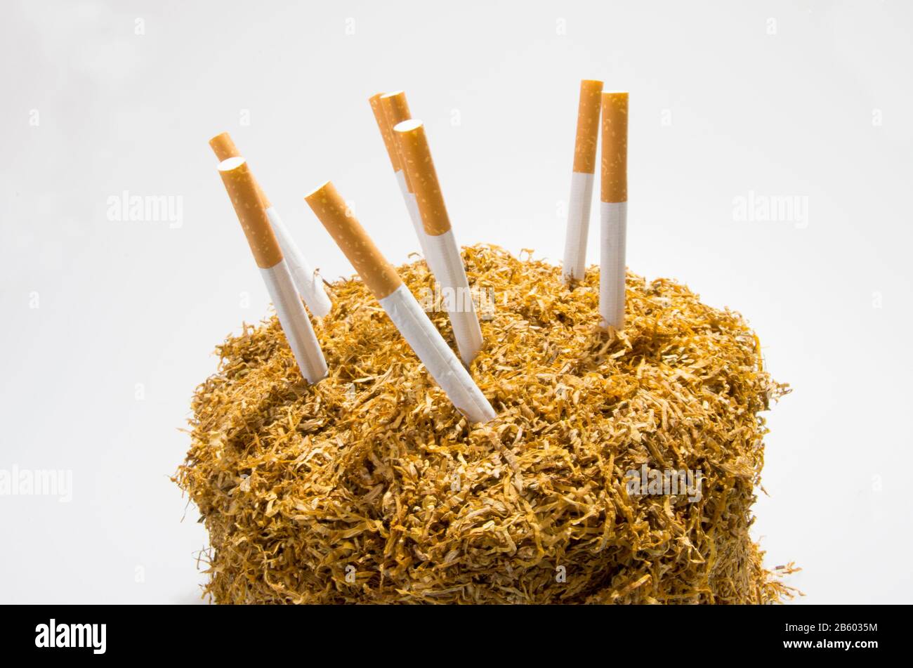 Sigarette e tabacco isolati su sfondo bianco Foto Stock