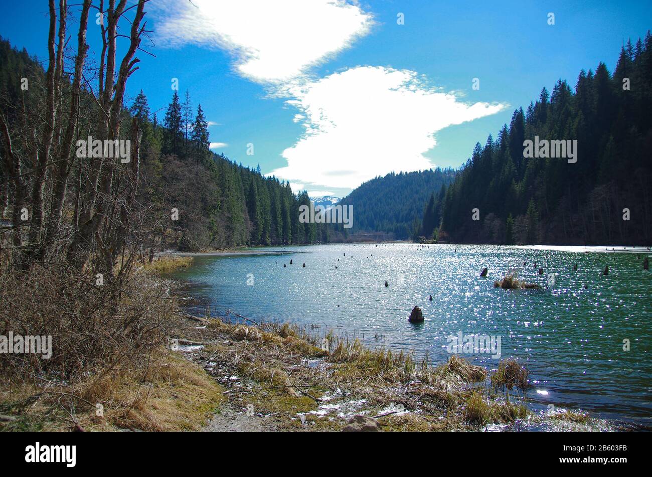 Bellissimo lago tra le montagne del Carpatia, luminoso e scintillante dal sole Foto Stock