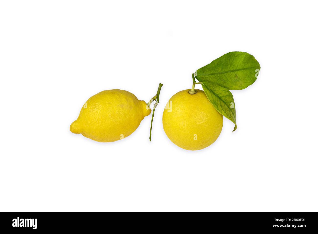Due limoni con ramoscelli e foglie verdi isolati su sfondo bianco. Foto Stock