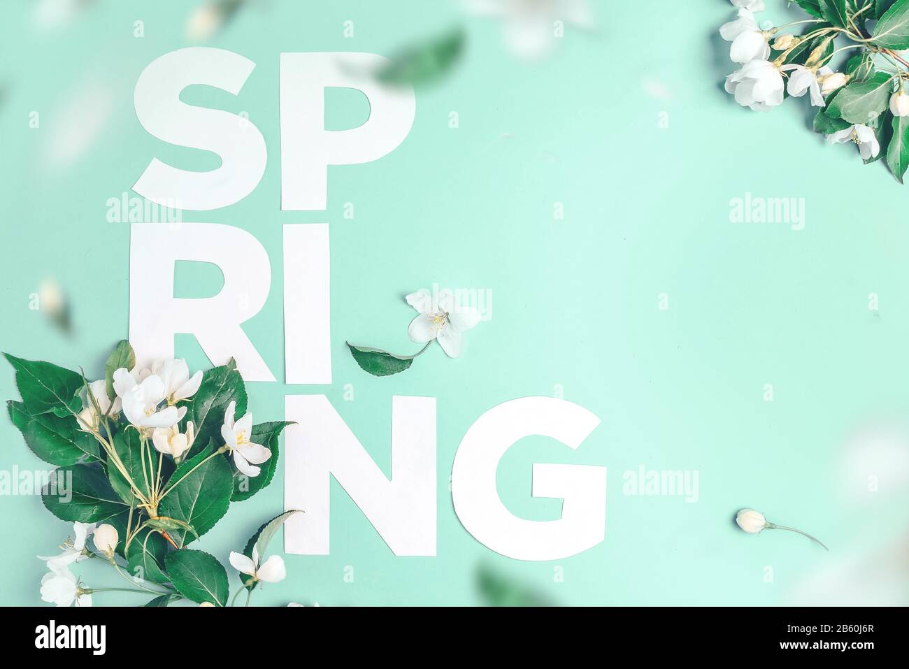 Layout creativi con rigogliosi alberi di Apple su uno sfondo blu. Lay piatto. Concetto - molla minimalismo Foto Stock