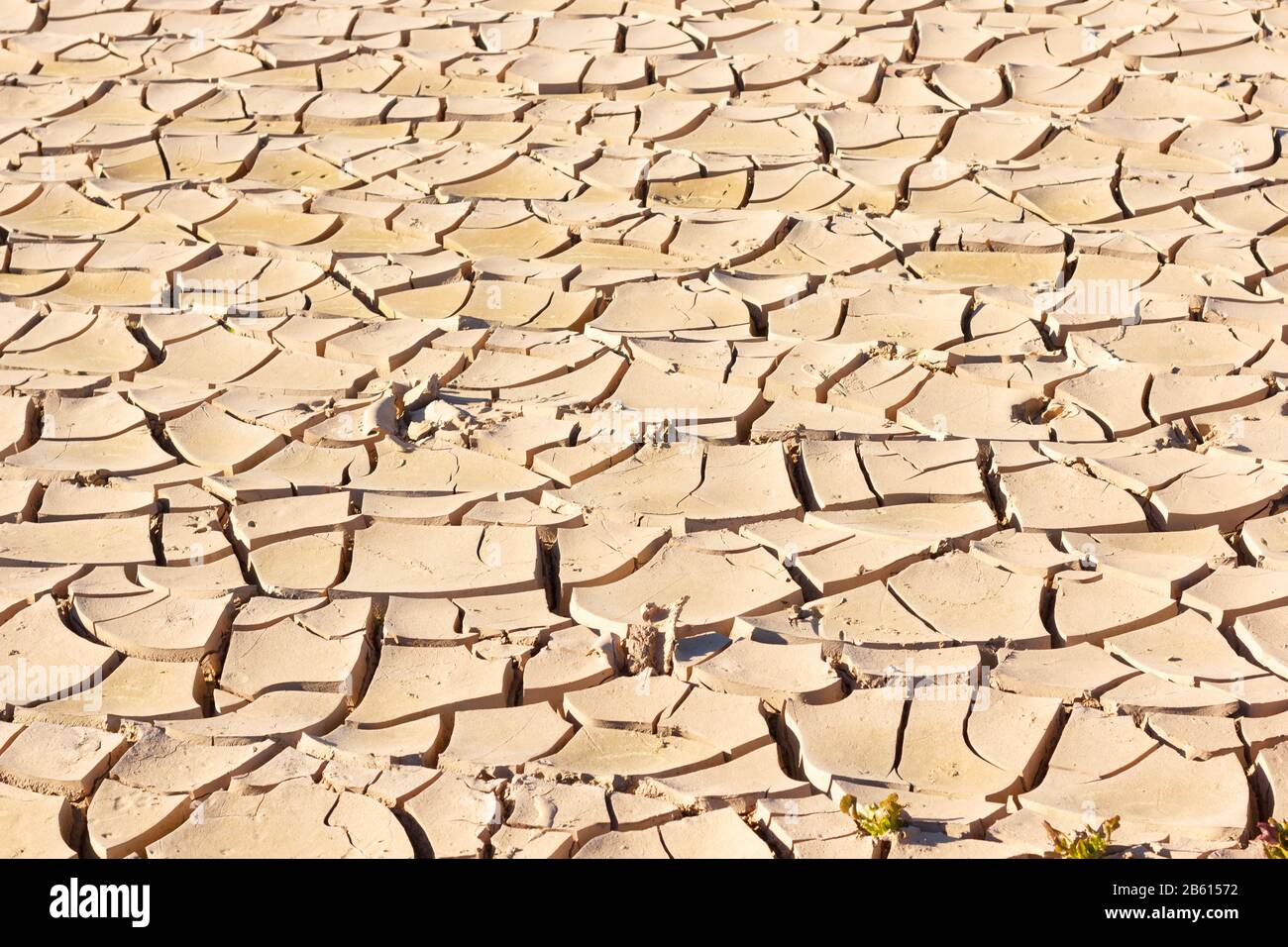 Mancanza d'acqua, sole e poca pioggia, terra rotta da poca irrigazione e molto calda. Terra battuta. Piccola vegetazione, arida e scarsamente coltivata Foto Stock