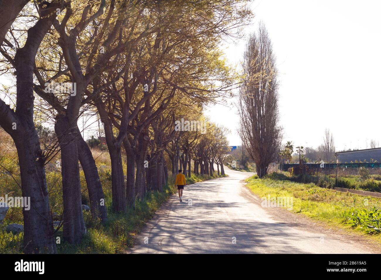 Strada che va ai campi di coltivazione e corre parallela al fiume Llobregat nella zona agricola di Baix L; libregat nella provincia di B. Foto Stock