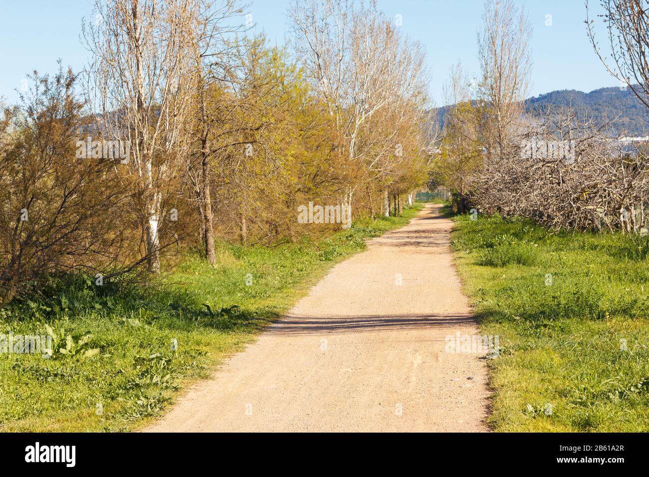 Strada che va ai campi di coltivazione e corre parallela al fiume Llobregat nella zona agricola di Baix L; libregat nella provincia di B. Foto Stock