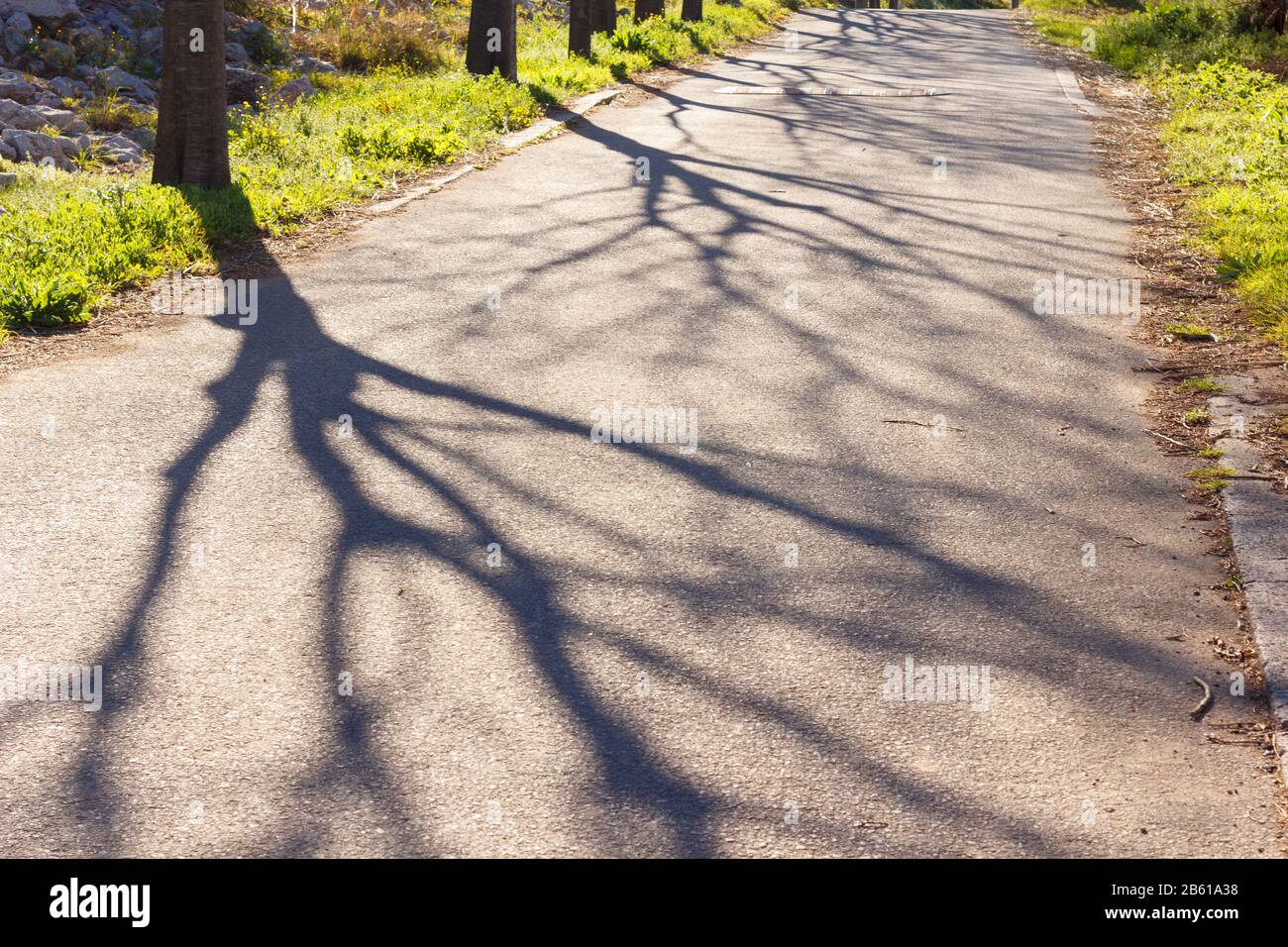 Strada che va ai campi di coltivazione e corre parallela al fiume Llobregat nella zona agricola di Baix L; libregat nella provincia di B. Foto Stock