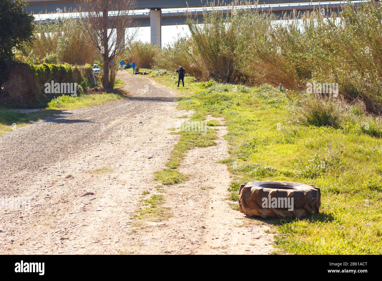 Strada che va ai campi di coltivazione e corre parallela al fiume Llobregat nella zona agricola di Baix L; libregat nella provincia di B. Foto Stock