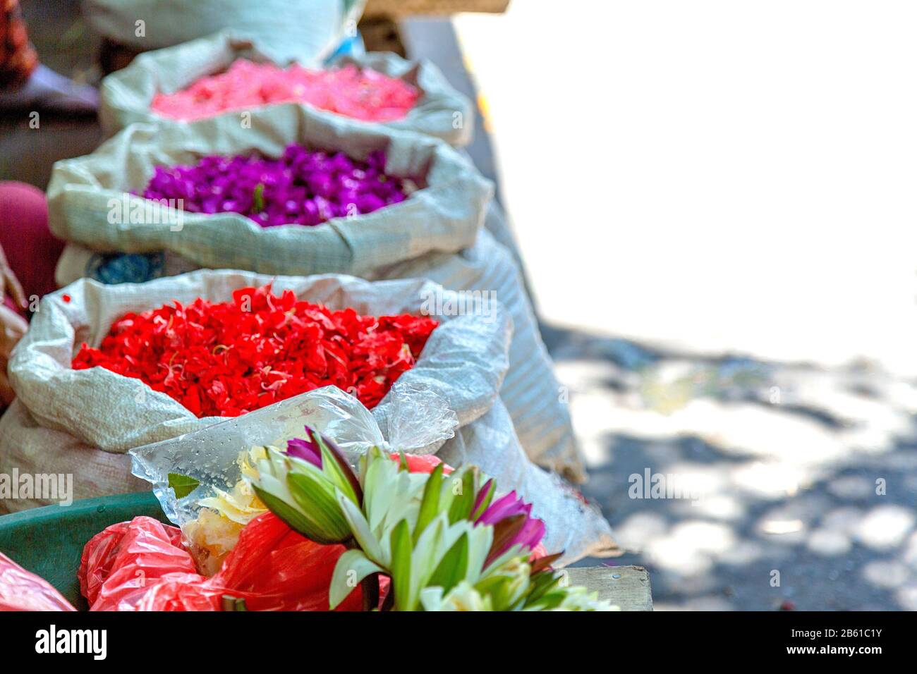 Grandi sacchetti di cotone di petali di fiori per la preparazione di Canang sari a Bali Indonesia. Le offerte dei fiori sono fatte ai mercati e vendute al pubblico, loro Foto Stock