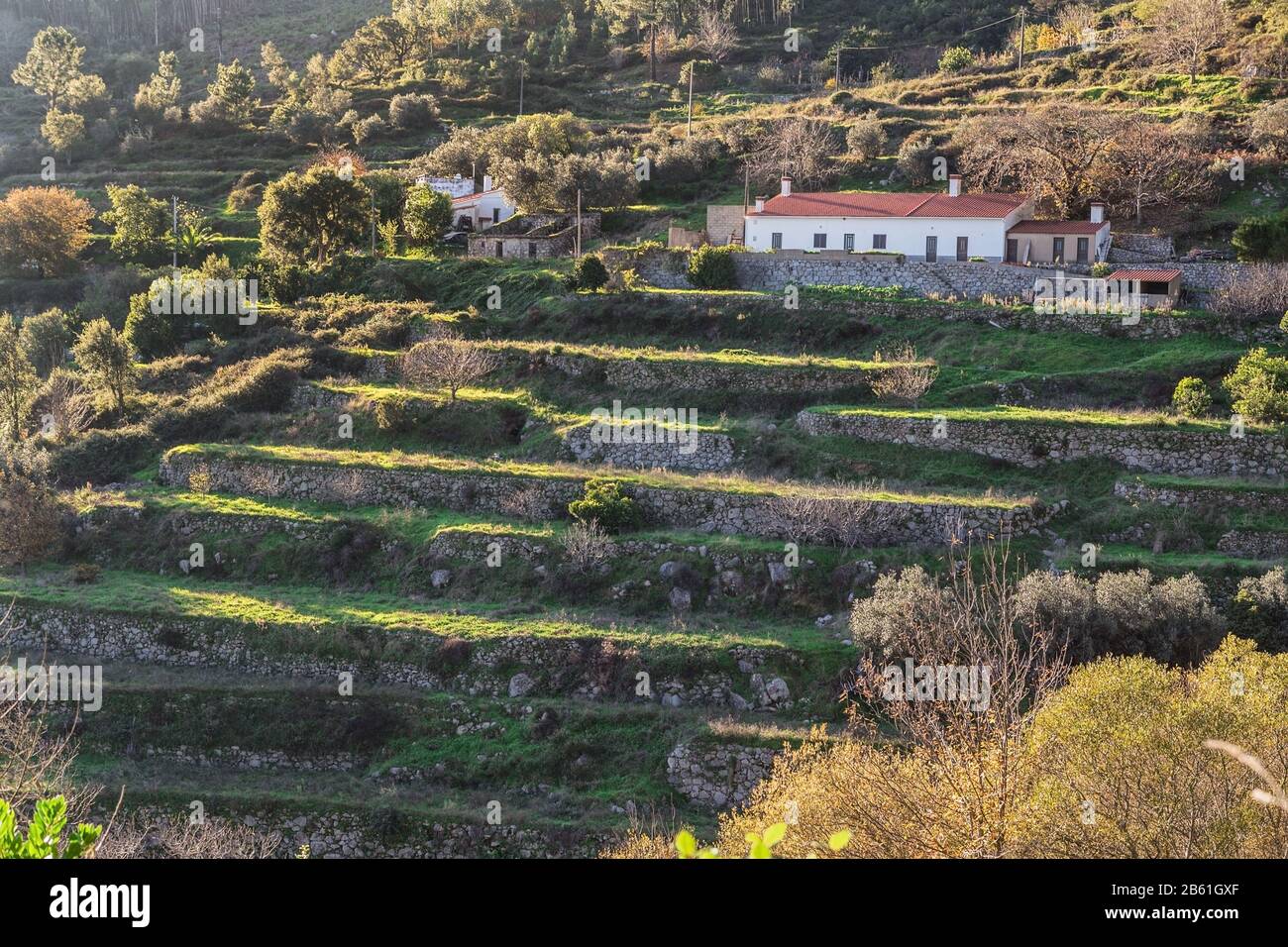 Tradizionale Lodge sulla collina. Estate in Portogallo. Foto Stock