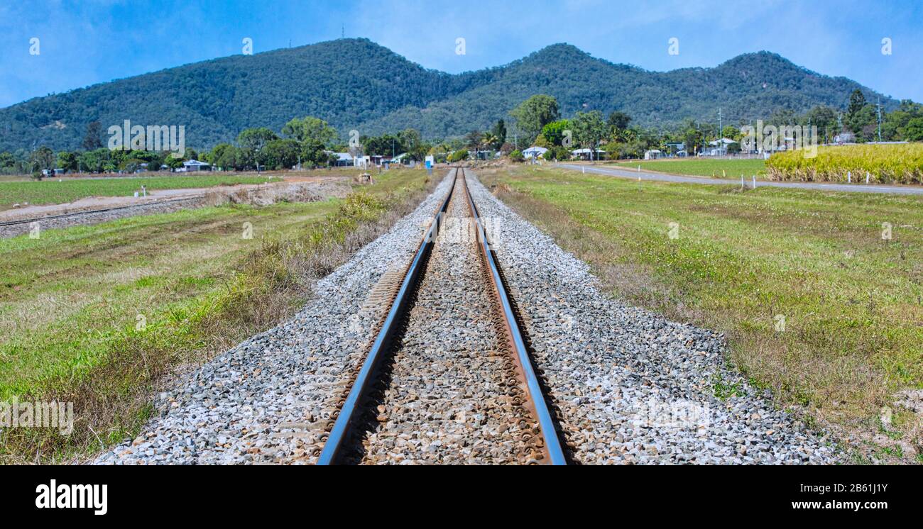 La canna da zucchero può essere vista su entrambi i lati dei binari del treno della canna da zucchero Foto Stock