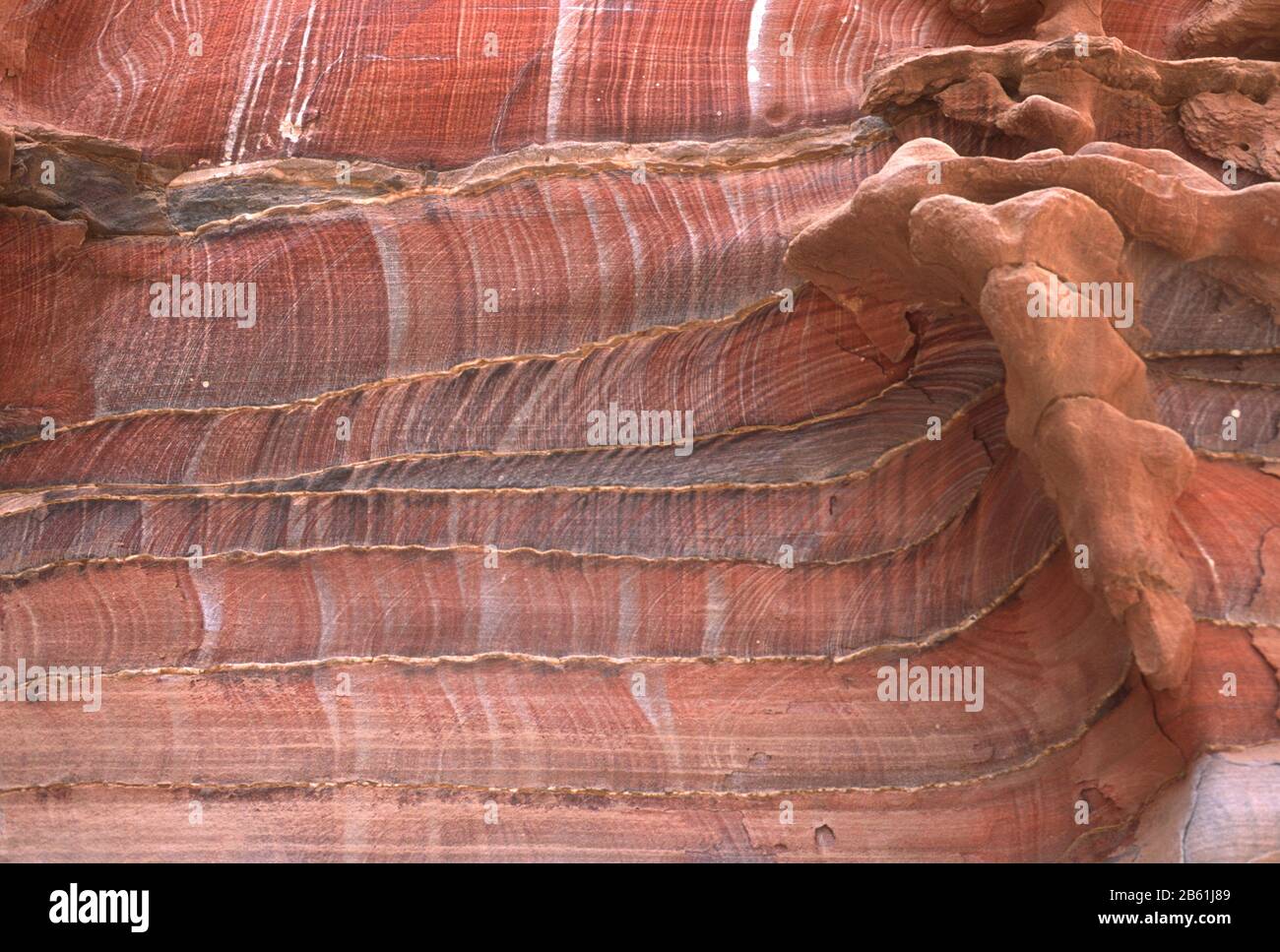 Superficie rocciosa venata a Petra, Giordania - la "città rosa rossa, metà vecchia come il tempo". Petra è un sito patrimonio dell'umanità dell'UNESCO. Foto Stock