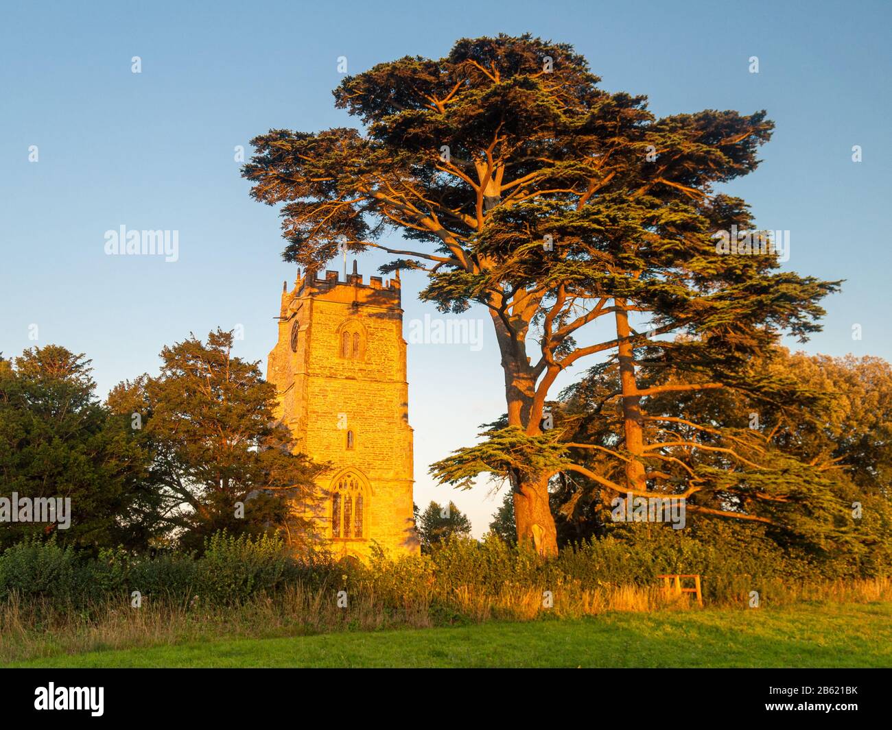 La tradizionale torre in pietra gotica della Chiesa di San Tommaso a Becket a Lydlinch sorge tra gli alberi nella rurale Blackmore vale di Dorset. Foto Stock