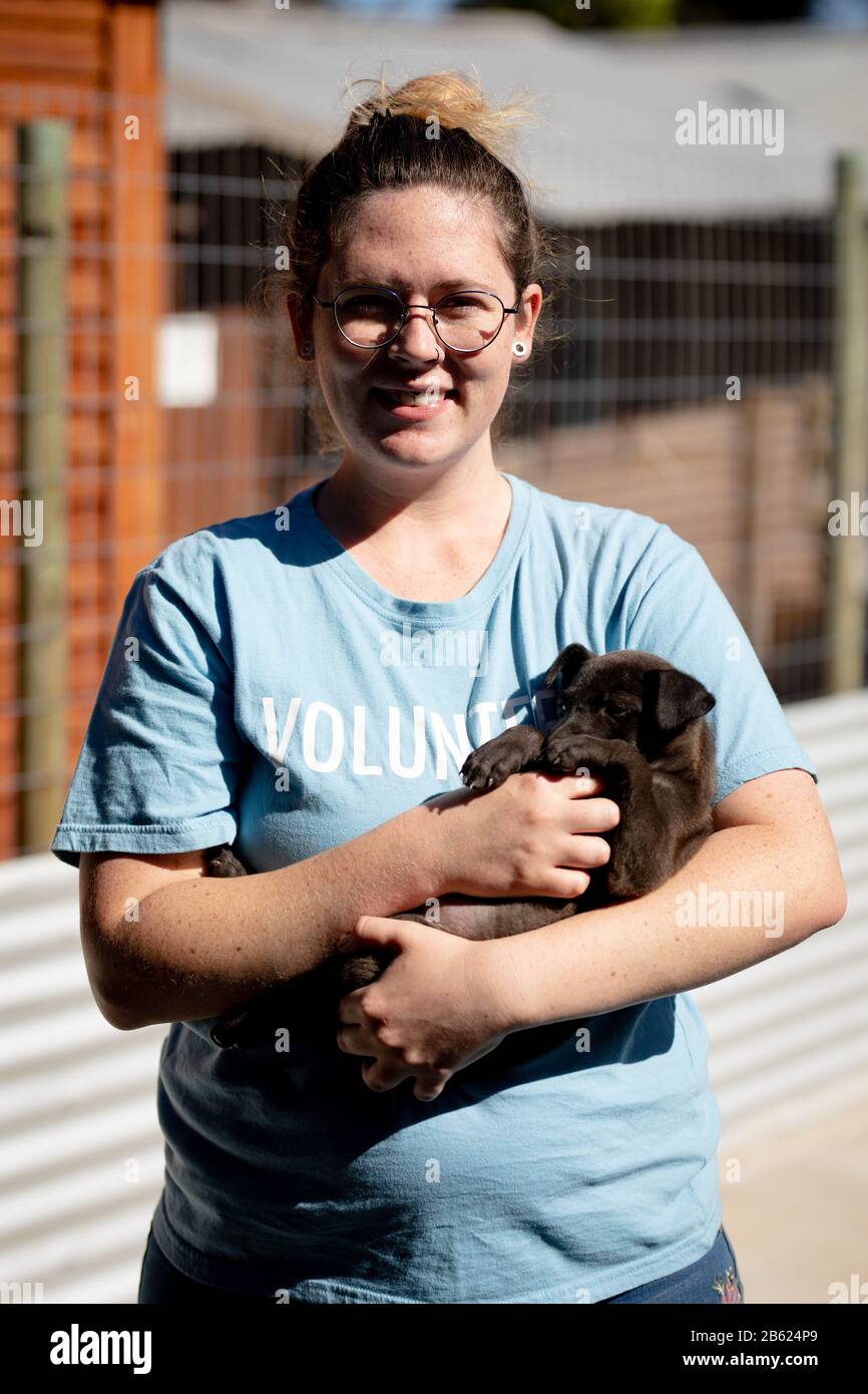 Donna con un piccolo cane tra le braccia in un ricovero per cani Foto Stock