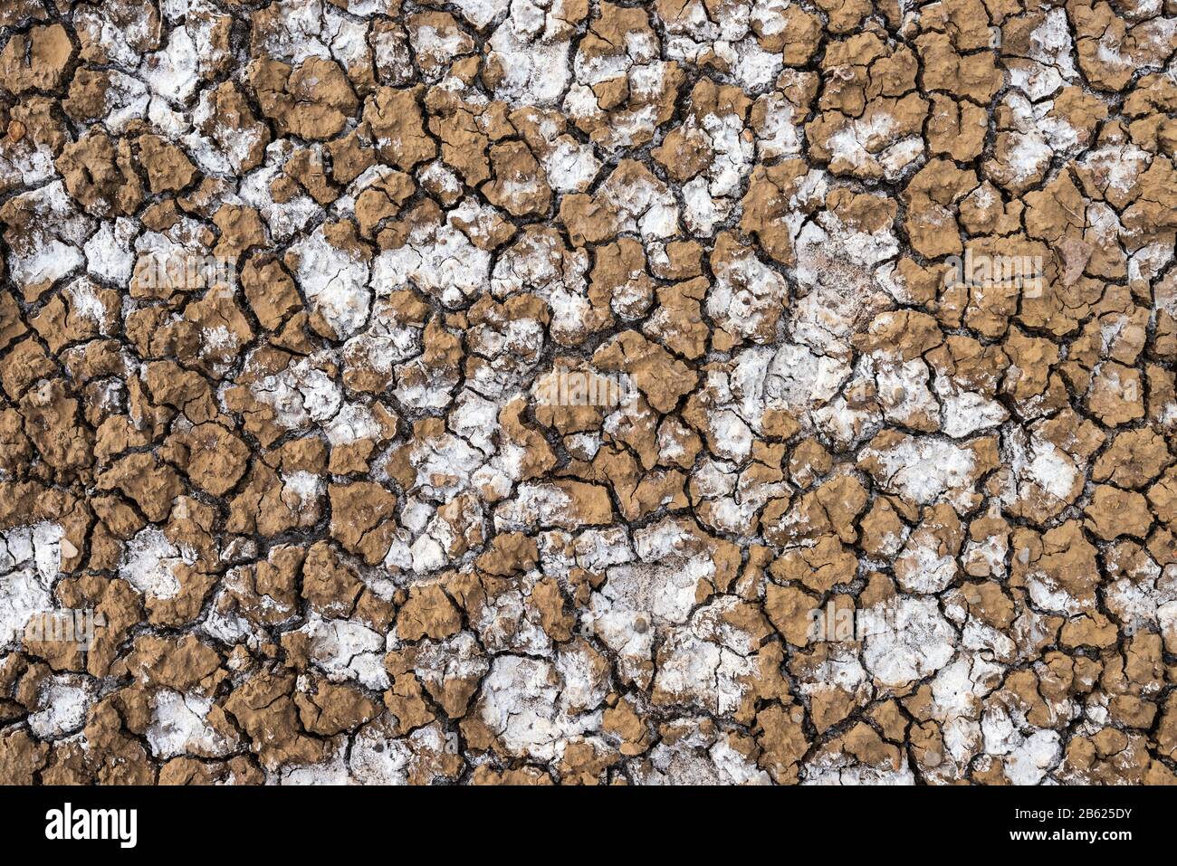 Terreno essiccato con cristalli di sale Foto Stock