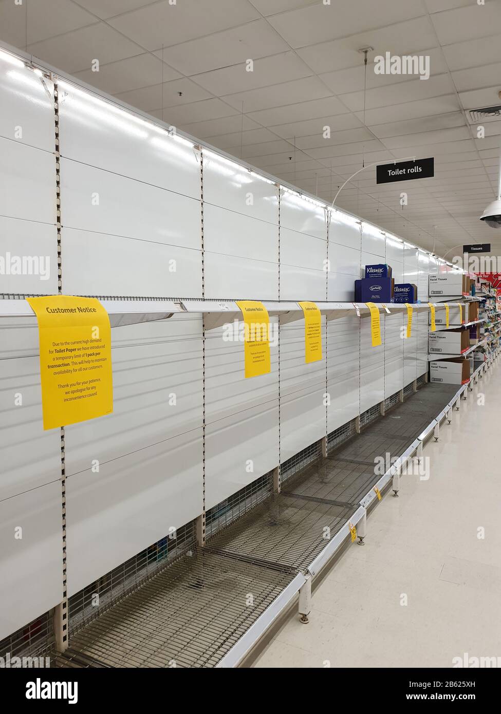 Woolworths supermercato vuoto carta igienica scaffali in mezzo coronavirus paure e panico di acquisto Foto Stock