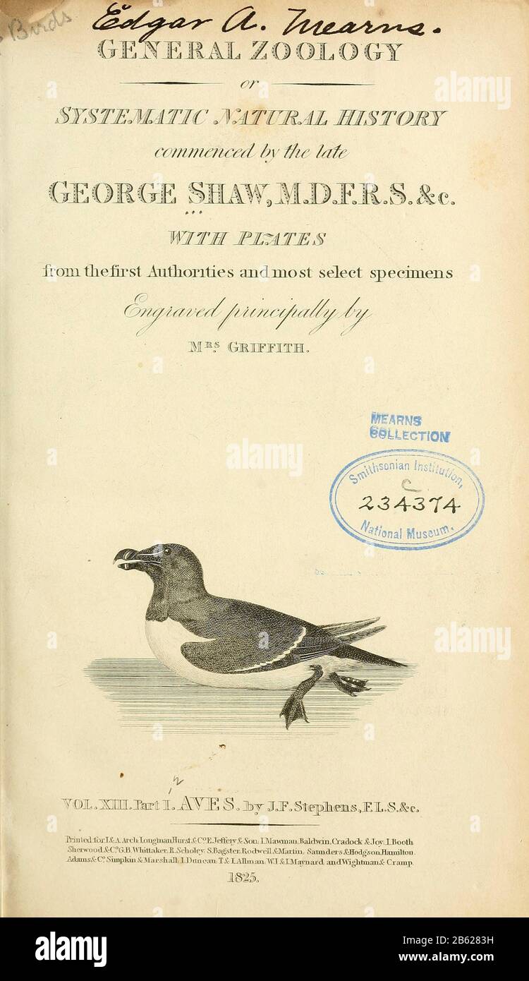 Dal volume XIII (Aves) Parte 1 di "Zoologia Generale o Storia Naturale Sistematica" del naturalista britannico George Shaw (1751-1813). Griffith, Sig.ra, , incisore. Heath, Charles, 1785-1848 , incisore. Stephens, James Francis, 1792-1853 Pubblicato a Londra nel 1825 da G. Kearsley Foto Stock Dal volume XIII (Aves) Parte 1 di "Zoologia Generale o Storia Naturale Sistematica" del naturalista britannico George Shaw (1751-1813). Griffith, Sig.ra, , incisore. Heath, Charles, 1785-1848 , incisore. Stephens, James Francis, 1792-1853 Pubblicato a Londra nel 1825 da G. Kearsley Foto Stock