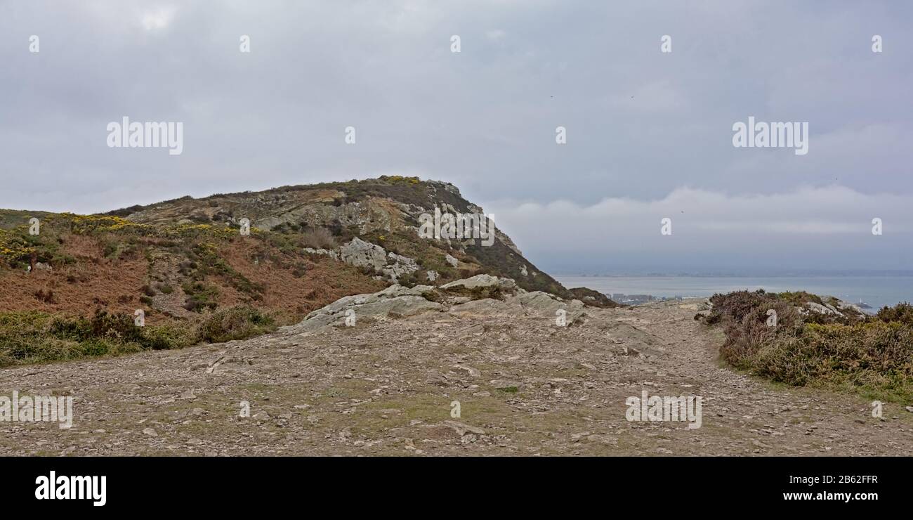 Scogliere rocciose lungo la costa rocciosa del mare del nord di howth, irlanda con cespugli di gola fioriti in una giornata nuvolosa Foto Stock