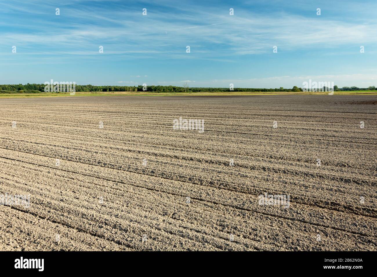 Enorme campo arato, orizzonte e cielo blu Foto Stock
