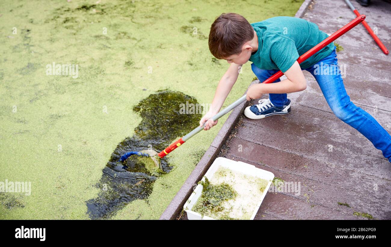 Ragazzo Su Campo Attività All'Aperto Cattura E Studio Pond Life Foto Stock