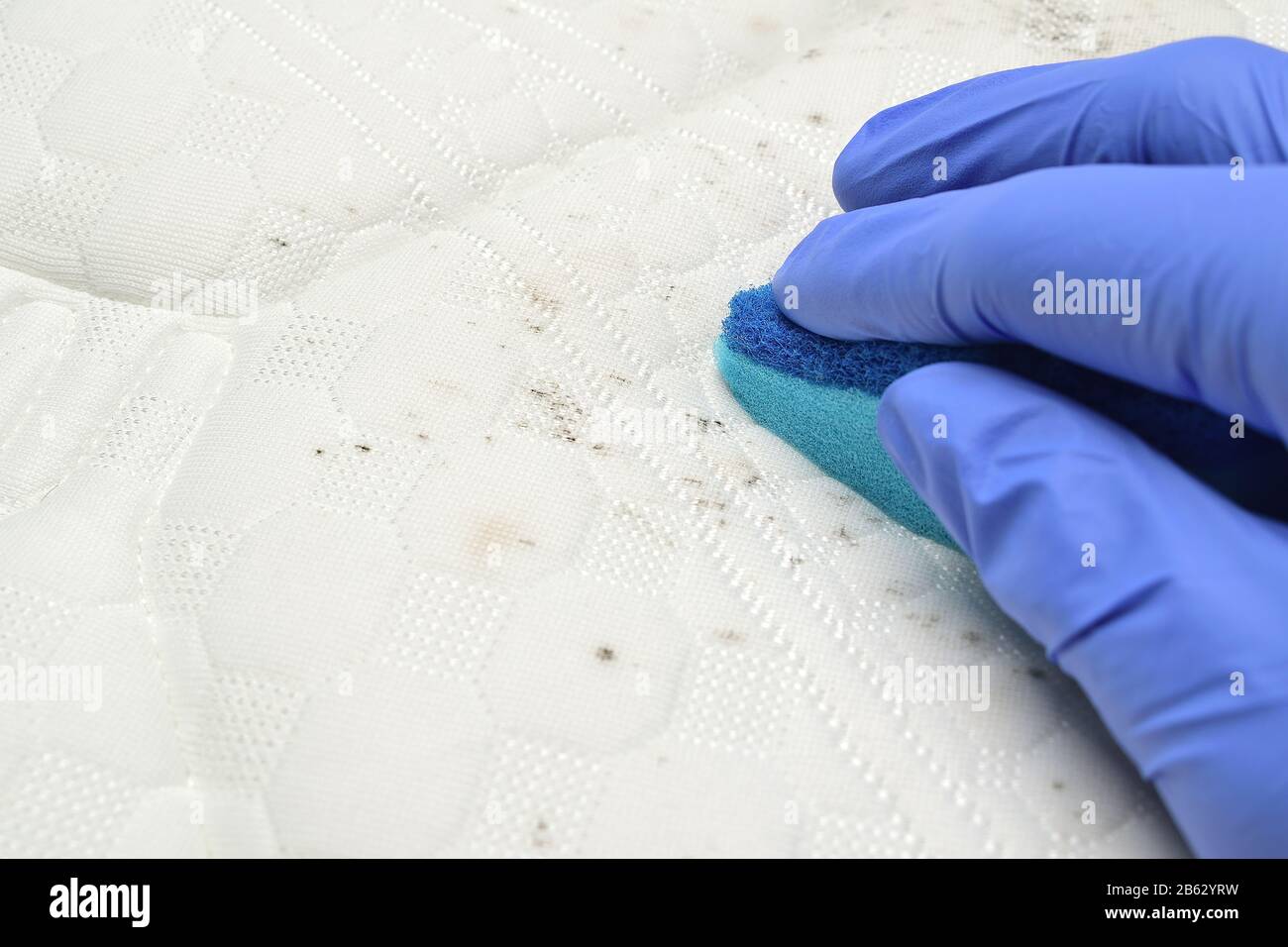 Rimuovere le macchie di muffa dal materasso. La mano trattiene una spugna  dura. Fungo, muffa, muffa o polvere Foto stock - Alamy