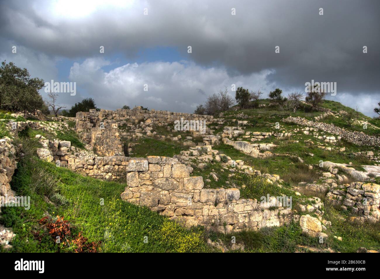 Sebastia antico israele scavi sul territorio palestinese Foto Stock