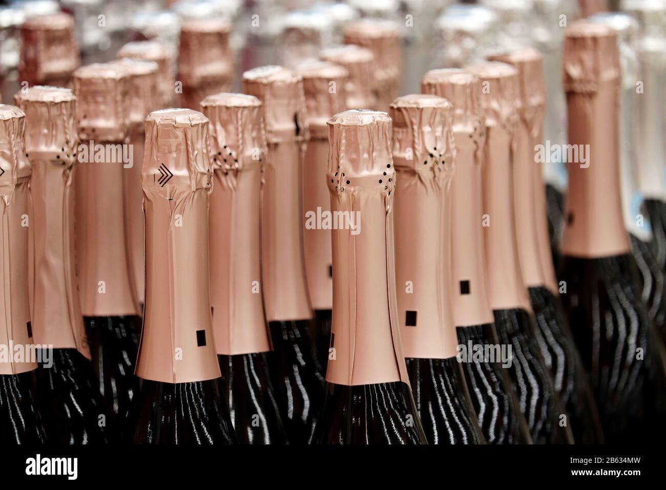 Bottiglie di champagne in fila, messa a fuoco selettiva. Negozio di liquori, concetto di produzione di vino frizzante Foto Stock