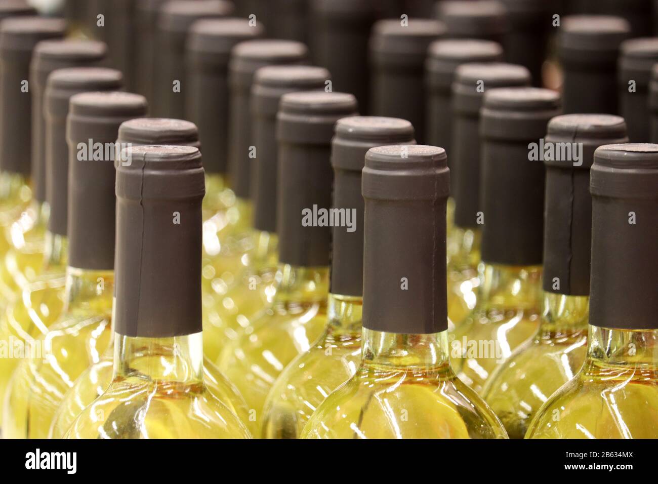 Bottiglie di vino in una fila, fuoco selettivo. Negozio di liquori, concetto di produzione di vino bianco Foto Stock