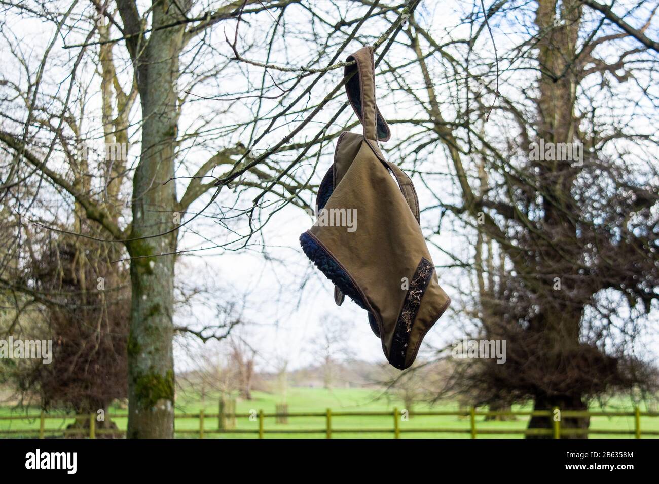 Un cappotto verde di cane perso di cachi appeso da un ramo basso dell'albero da una cinghia del velcro affinchè il proprietario ritrovi ancora Foto Stock