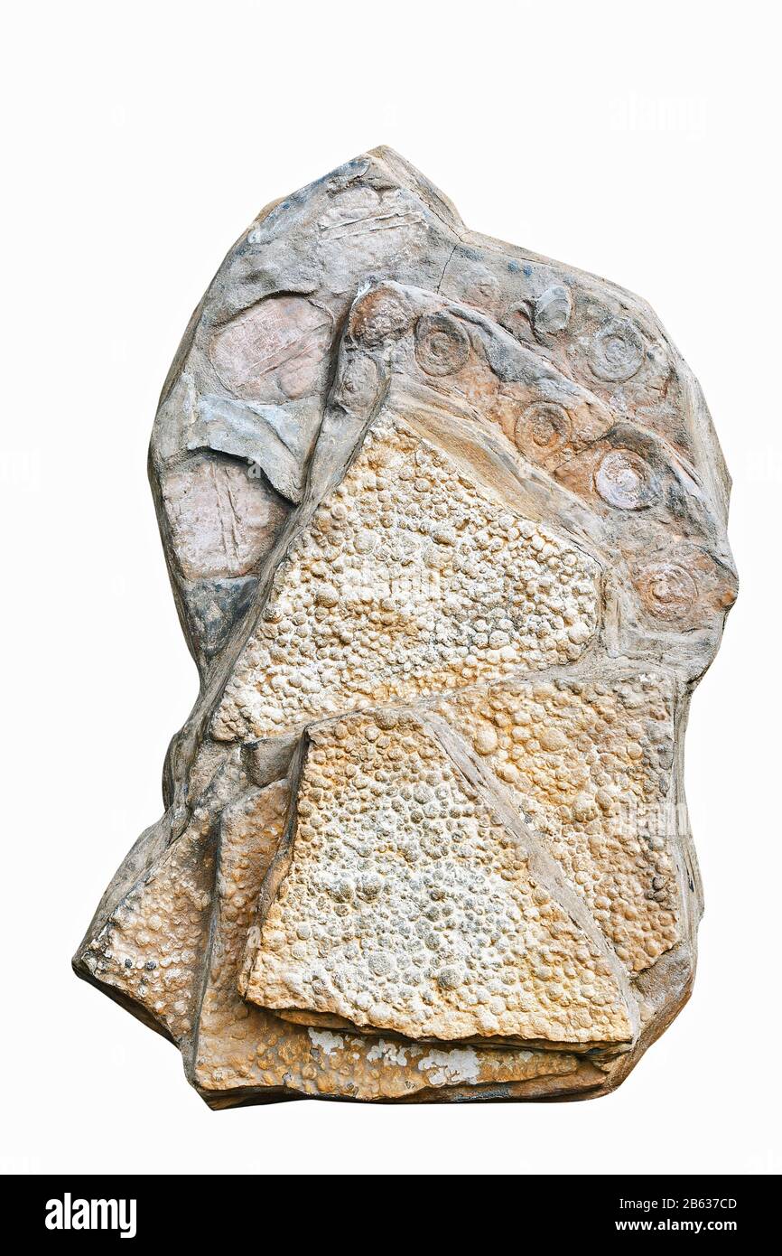 Frammento di pietra isolato con impronte di una vita antica Foto Stock