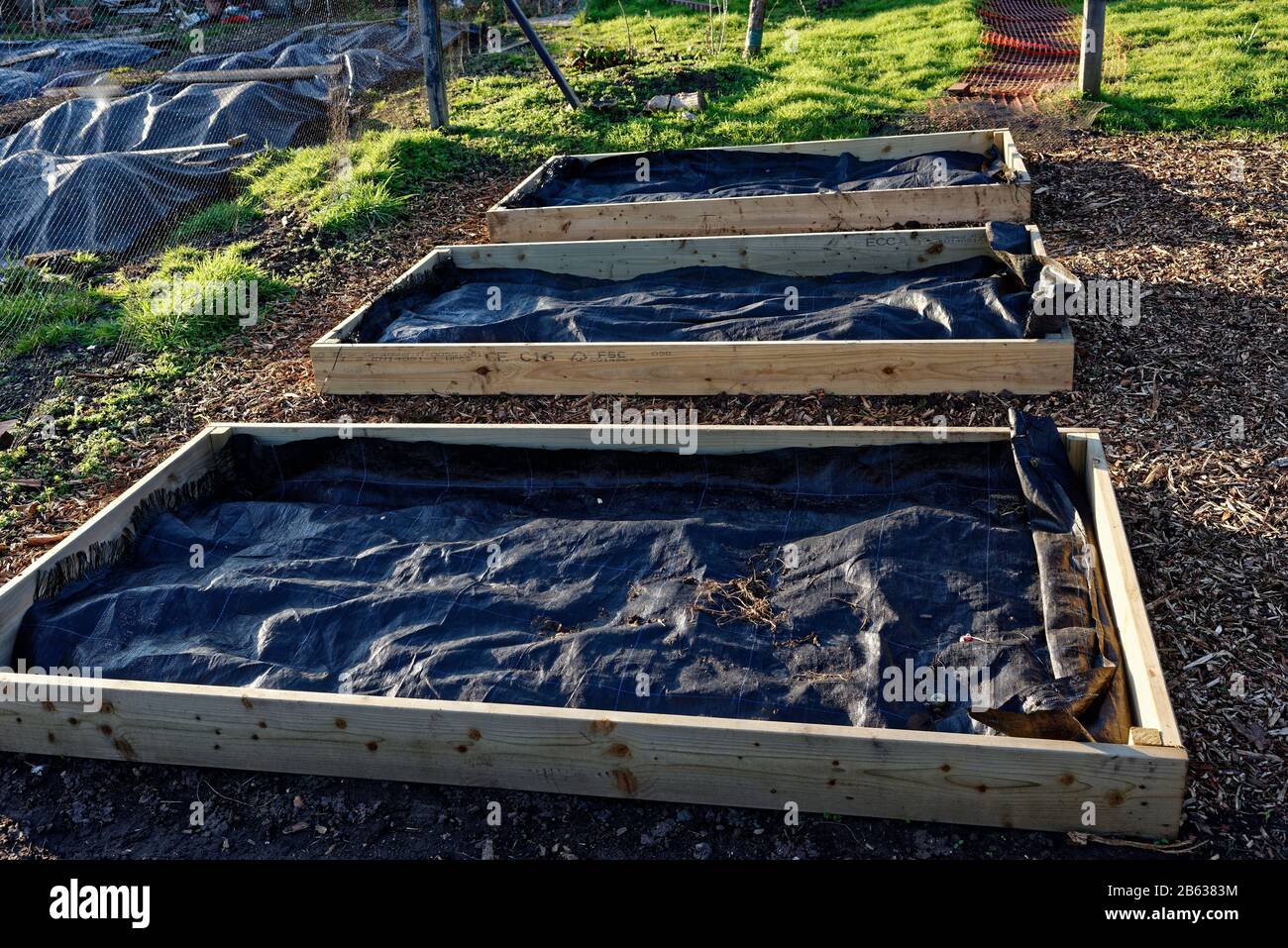 Tre letti rialzati per piantare e crescere in un allotment inglese Foto Stock