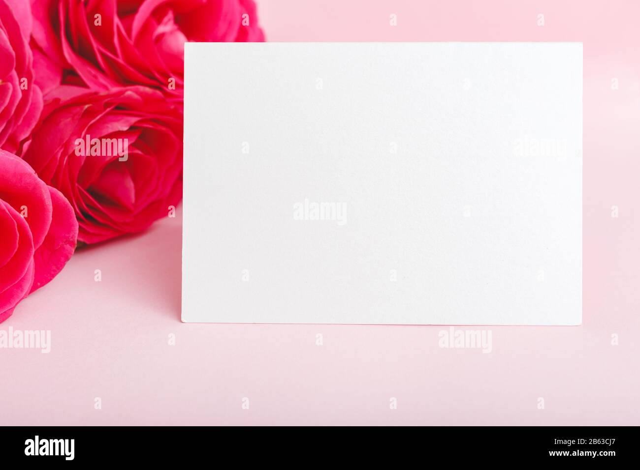 Fiori mockup congratulazioni. Tessera di invito al matrimonio in bouquet di rose rosse rosa su sfondo rosa. Scheda bianca vuota con spazio per testo, cornice Foto Stock