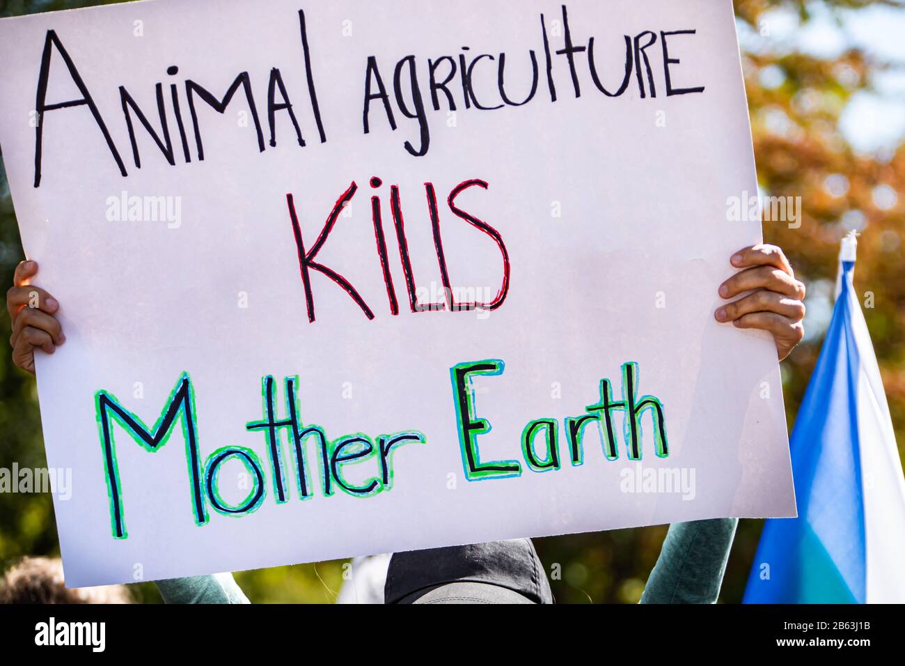 Una vista ravvicinata di un cartello ambientale disegnato a mano che dice che l'agricoltura animale uccide la madre terra, visto durante una protesta per il cambiamento climatico Foto Stock