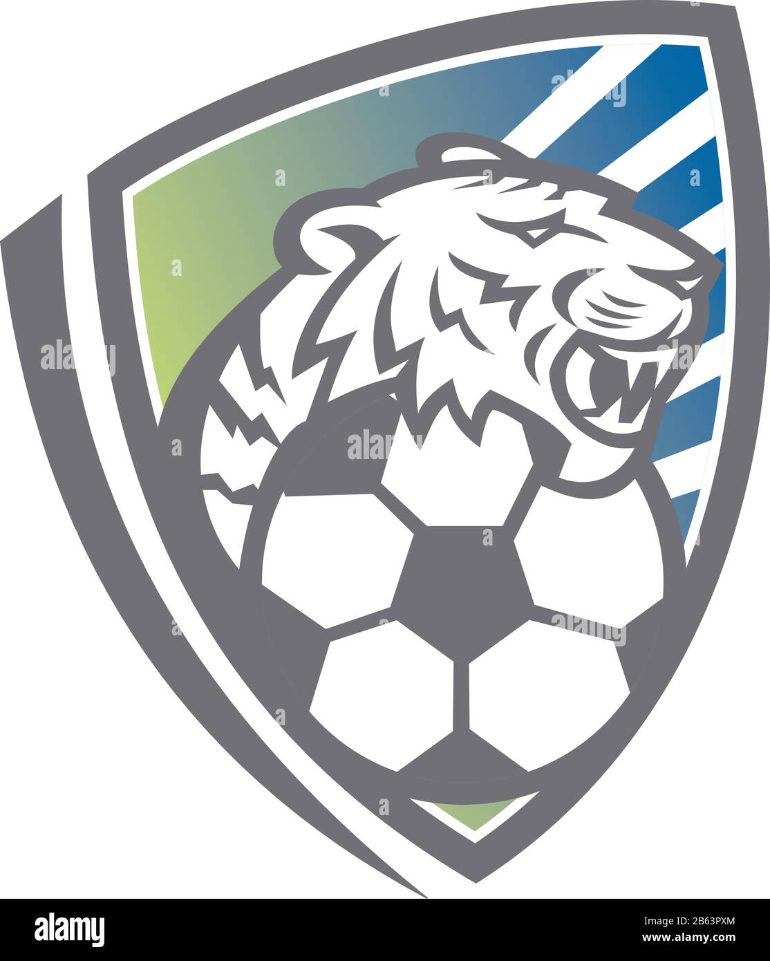 Icona Mascot immagine di testa di una tigre o di un grande gatto con  pallone da calcio impostato all'interno scudo o cresta visto dalla parte  anteriore su sfondo isolato i Immagine e