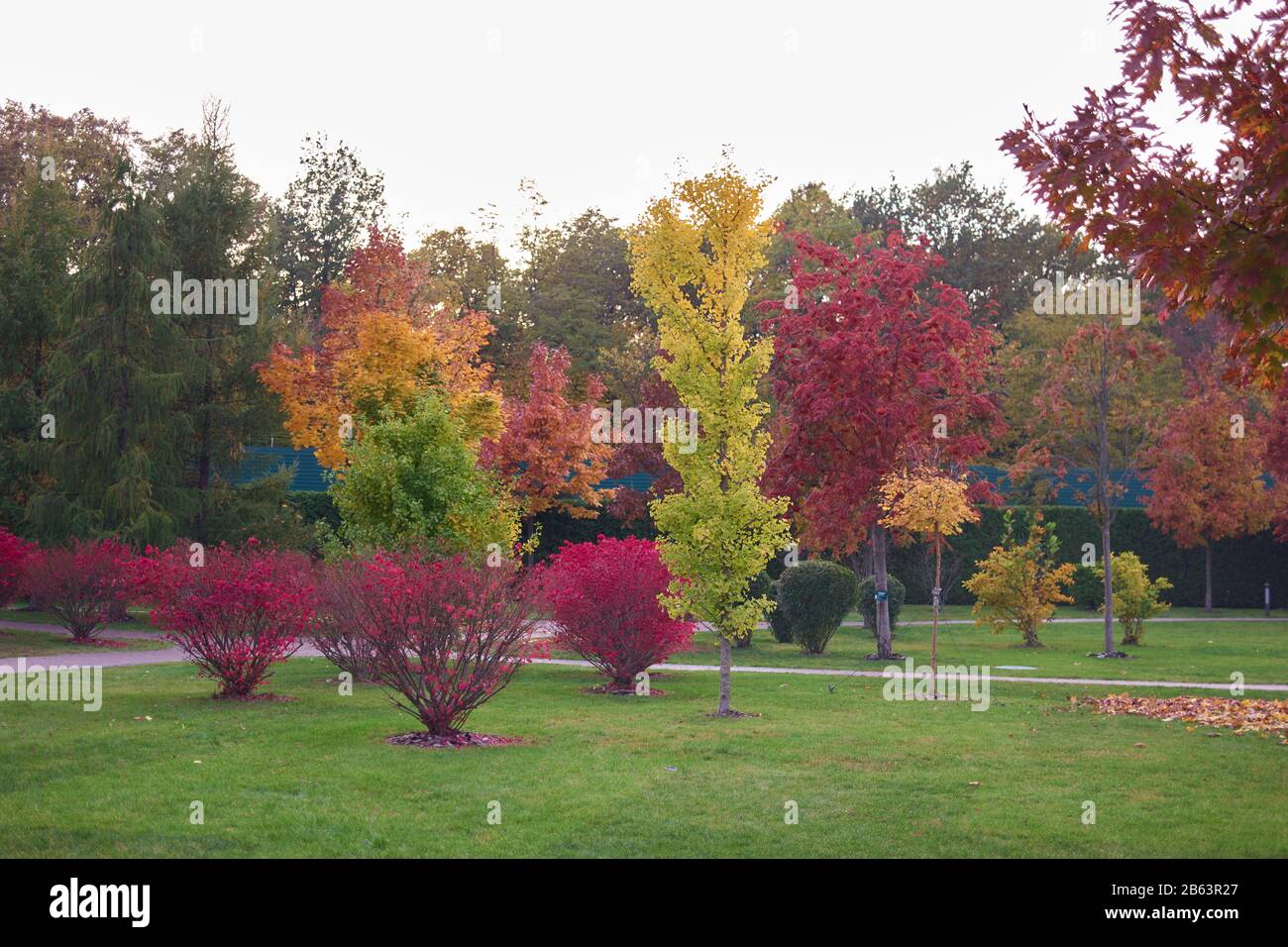 Autunno parco paesaggio con cielo grigio. Foto Stock