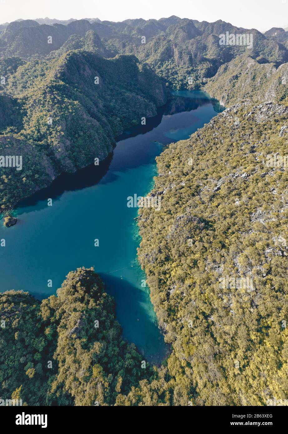 Veduta aerea del lago Barracuda a Coron, Palawan, Filippine Foto Stock