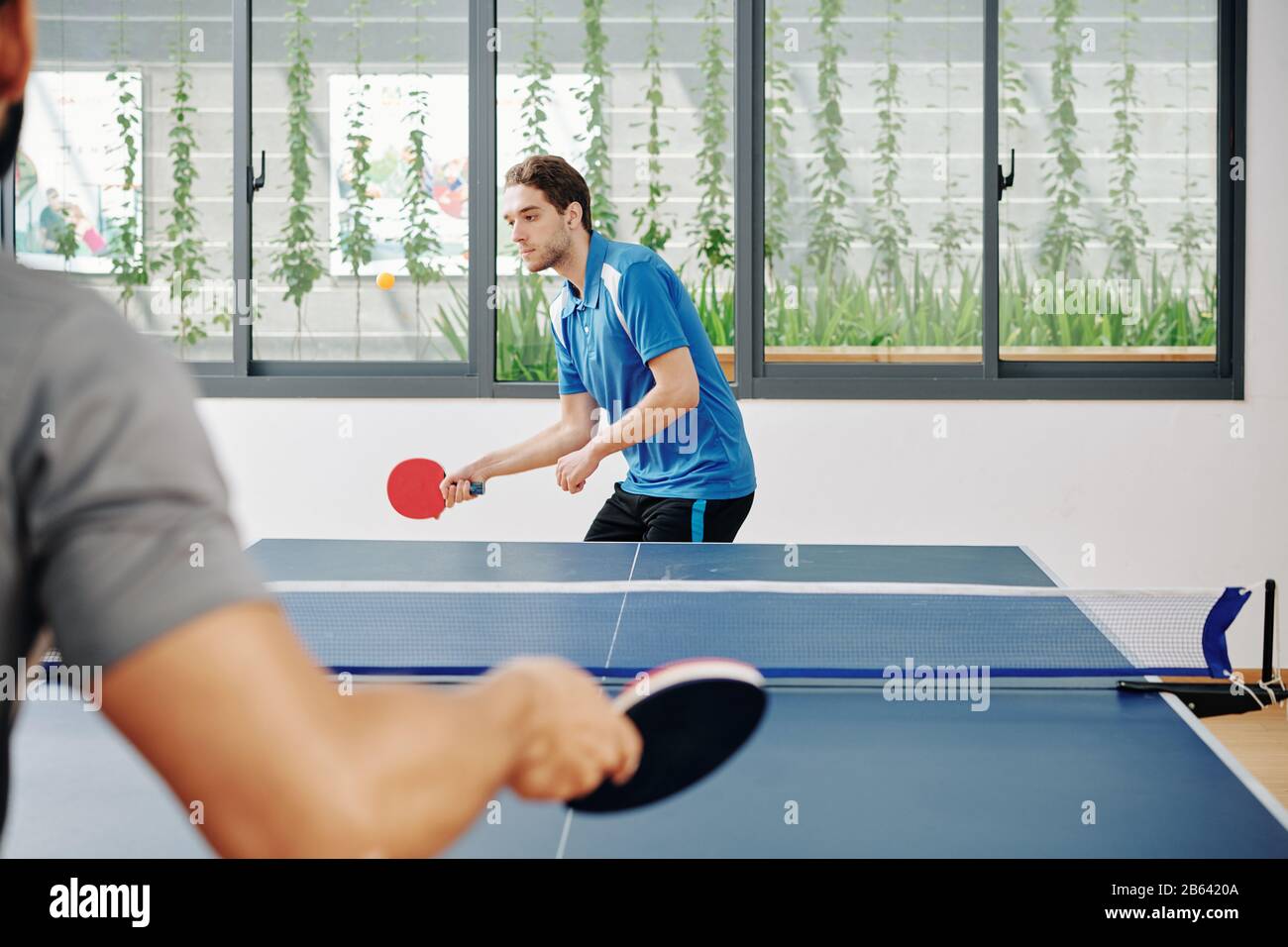 Bel giovane sportivo giocando a ping pong con un amico e colpendo palla con racchetta Foto Stock