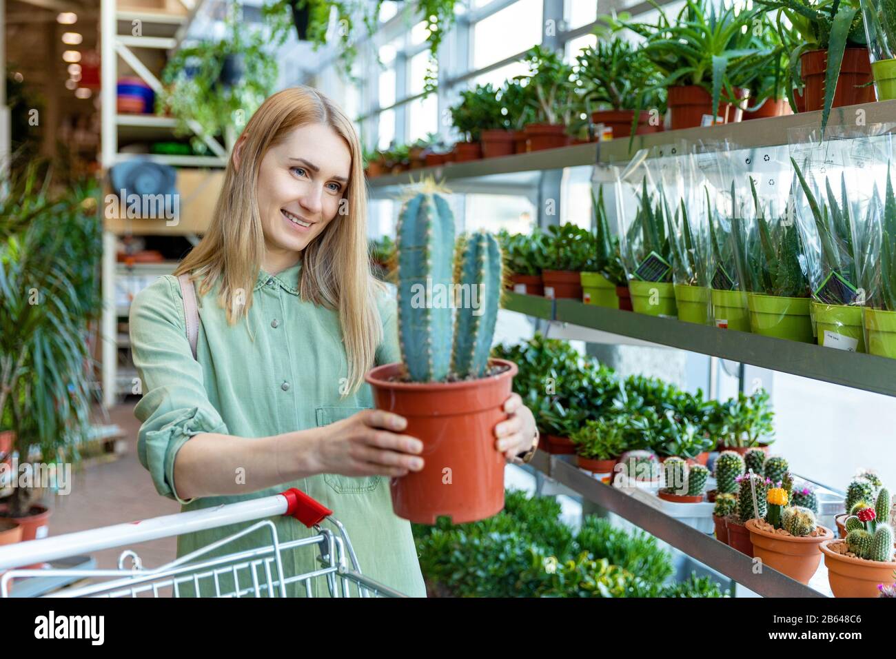 donna scegliere la pianta di cactus in vaso al centro del giardino Foto Stock