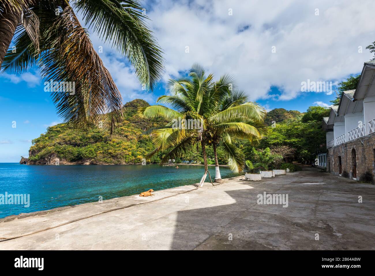 Wallilabou Bay, Saint Vincent e Grenadine - 19 dicembre 2018: Vista dalla riva al mare e palme da cocco a Wallilabou Anchorage - Pirate Foto Stock